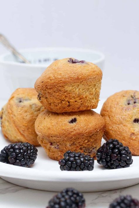 Vegan Blackberry Muffins - The Daily Dish Vegan Blackberry Muffins, Vegan Berry Muffins, Jumbo Blackberry Muffins, Bakery Style Blackberry Muffins, Paleo Blackberry Cobbler, Blackberry Muffin Recipe, Bite Size Breakfast, Blackberry Muffin, Vegan Grocery List