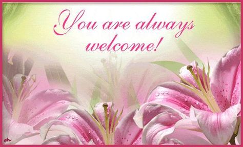 You are always Welcome! You Are Welcome Gif, You Are Most Welcome Images, You Are Welcome Quotes, Your Welcome Quotes, Your Welcome Images, You Are Welcome, You're Welcome Images, You’re Welcome, You Are Welcome Images