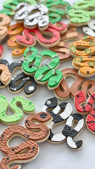 Snake Cookies Decorated, Reptile Decorated Cookies, Lizard Cookies, Snake Cupcakes, Snake Cookies, Reptile Cookies, Paper Bubbles, Wild Kratts Birthday Party, Snake Cakes