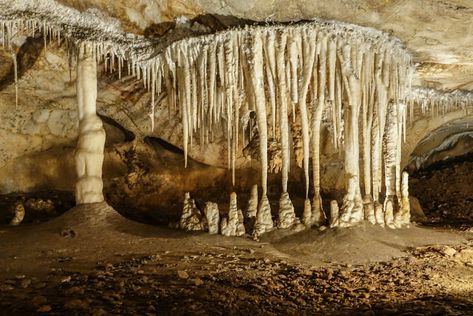 Stalactites And Stalagmites, Waitomo Caves, Glow Worm Cave, Jenolan Caves, Cave Photos, Abandoned Churches, Underground Caves, Batu Caves, Chateau Medieval