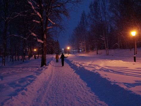 New England Nostalgia, Winter Melancholy, Small Town Life, Movie Shots, Winter Scenery, Blue Hour, Seasons Of The Year, Winter Wonder, Winter Night