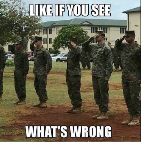 Civil Air Patrol Encampment, Funny Army Pictures, Military Humor Army, Jrotc Memes, Rotc Memes, Marine Corps Memes, Usmc Humor, America Jokes, Military Salute