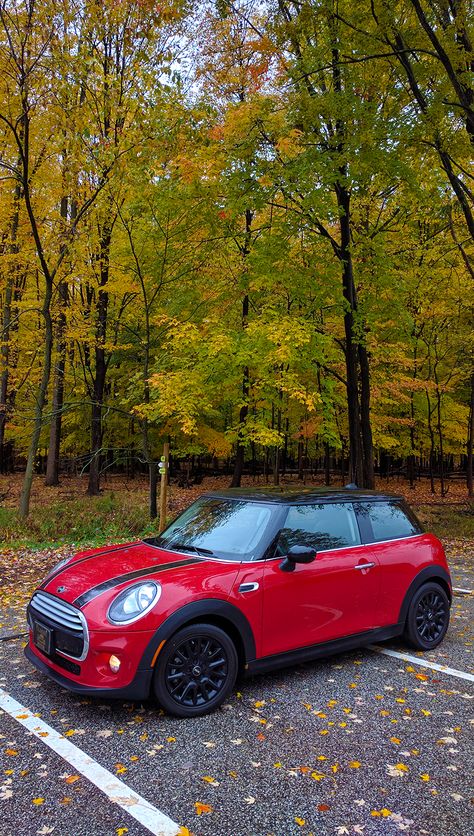 Red Mini Cooper Convertible, Mini Cooper Aesthetic, Mini Cooper Wheels, Mini Cooper Stripes, Car Mini Cooper, Black Mini Cooper, Red Mini Cooper, Mini Cooper 2014, Mini Cooper Hardtop