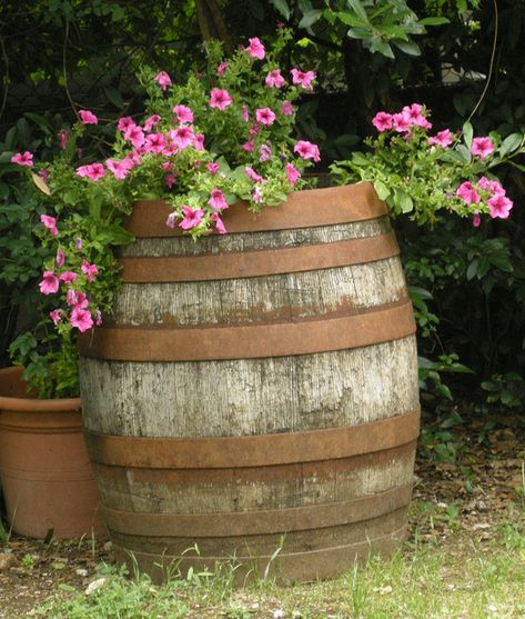 Planted Rain Barrel - simply beautiful! Western Garden, Wooden Barrels, Garden Chic, Barrel Planter, Rain Barrel, Wooden Barrel, Garden Containers, French Garden, Deco Floral