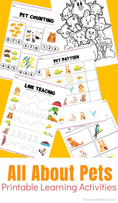 Preschool Learning Printables with a fun PET theme! Kids will absolutely love this theme with all the fun animals while they are practicing and strengthening crucial skills. #preschool #preschoolactivities #freeprintables #pettheme Pet Theme Preschool Activities Science, Preschool Pet Activities, Learning Activities For Preschoolers, Free Preschool Activities, Preschool Skills, Pet Theme, Pets Preschool Theme, Free Homeschool Printables, Counting For Kids