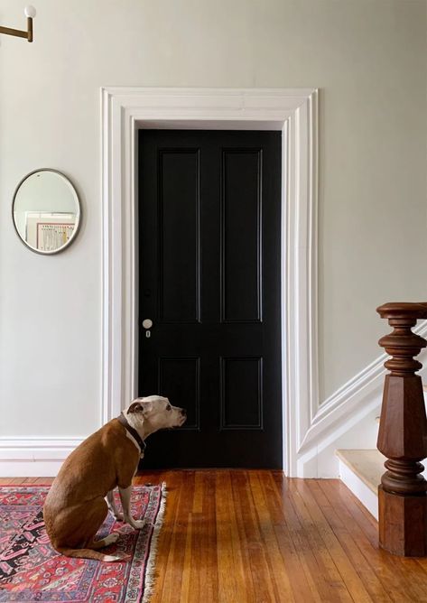 The walls and ceiling are HGTV Home by Sherwin-Williams Oyster White (eggshell), the trim is HGTV Home by Sherwin-Williams Extra White (satin), and the doors are a HGTV Home by Sherwin-Williams color-match to Benjamin Moore Onyx (satin) Oyster White Sherwin Williams, Hgtv Paint Colors, Daniel Kanter, White Sherwin Williams, Restoring Old Houses, Hallway Staircase, Sherwin Williams Extra White, Entry Stairs, Sherwin Williams Colors