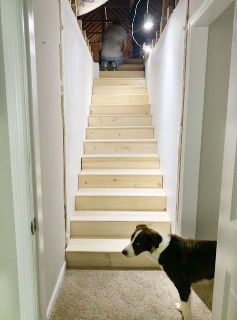 We are reclaiming the unfinished attic space over the garage and converting it to livable space for a new office/bonus room. One problem: there wasn’t any access. So we built interior stairs and opened up a new world of potential! #FinishedRoomOverGarage #AtticOffice #BuildingStairs Stairs For Attic Conversion, Adding Stairs To House, Stairs To Attic Conversion, Attic Bonus Room, Unfinished Attic, Attic Truss, Cottage Entryway, Garage Stairs, Room Above Garage