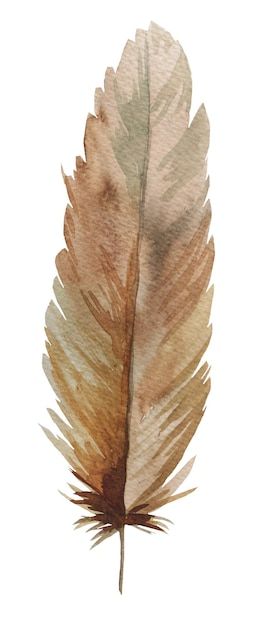 Premium Vector | Watercolor brown stripe single feather vector isolated Cartoon Feather, Painted Feathers, Feather Drawing, Feather Vector, Feather Painting, Water Colour, Cut Outs, Premium Vector, Graphic Resources