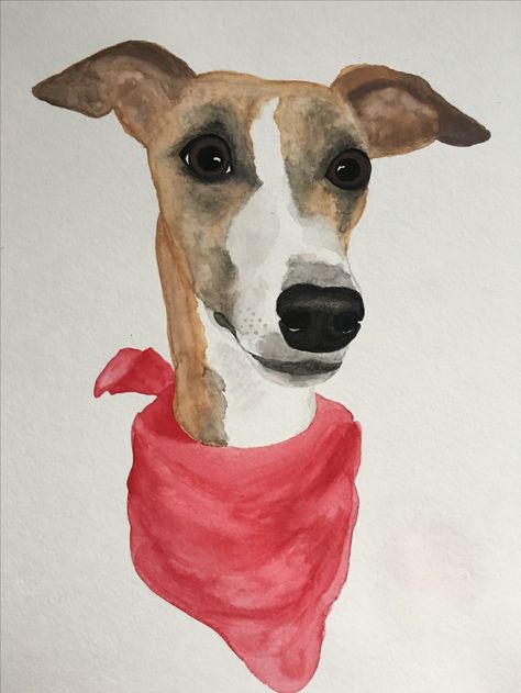 Whippet Watercolor Italian Greyhound Art, Whippet Greyhound, Grey Hound, Greyhound Art, Paper Collage Art, Animal Portraits, Tableau Art, Dog Illustration, Cute Easy Drawings