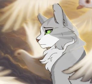 Dove Wing, Warrior Cat Art, Drawing Pictures, Warrior Cats Art, Wings Art, Warriors Cats, The Best Series Ever, Forest Spirit, Warrior Cat