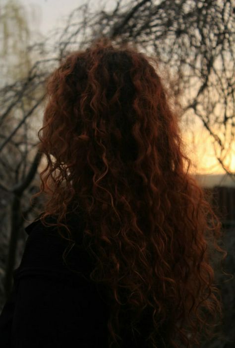 curly red hair Wild Curly Red Hair, Wild Red Hair Aesthetic, Red Head Angel Art, Red Hair Curly Hairstyles, Red Haired Face Claim, Reddish Brown Hair Aesthetic, Red Curly Hair Aesthetic, Curly Red Hair Aesthetic, Curly Red Head