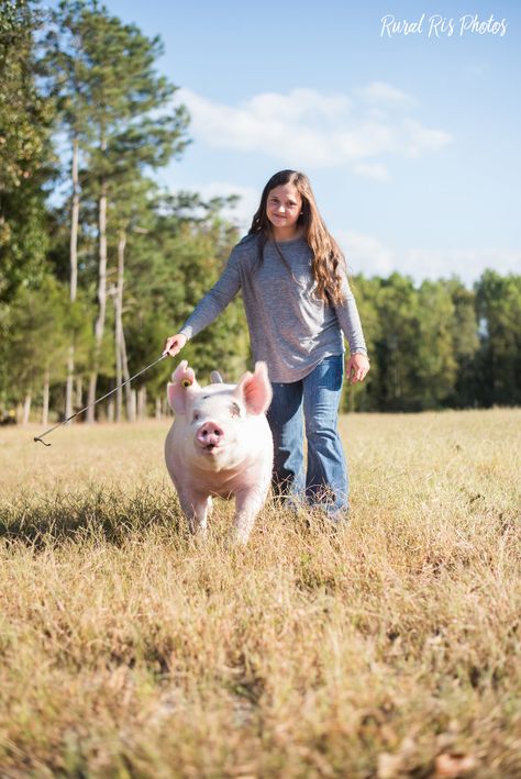 Showman has senior pictures on farm with her show pig. Ffa Pig Pictures, 4h Senior Pictures Animals, Show Pig Pictures, Senior Pictures With Animals, Senior Pictures With Pigs, Show Pig Senior Pictures, 4h Senior Pictures, Pig Photoshoot, Livestock Senior Pictures