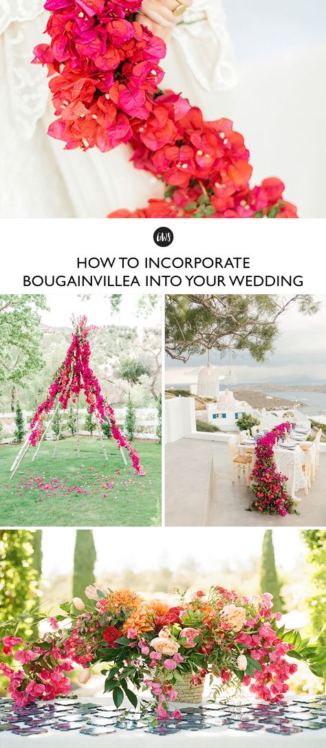 Bougainvillea Bouquet, Palm Springs Wedding Photography, Bougainvillea Wedding, Wedding Shoes Photography, Bouquet Photography, Tropical Bridal, Roses Peonies, Vintage Wedding Dress, Wedding Kiss