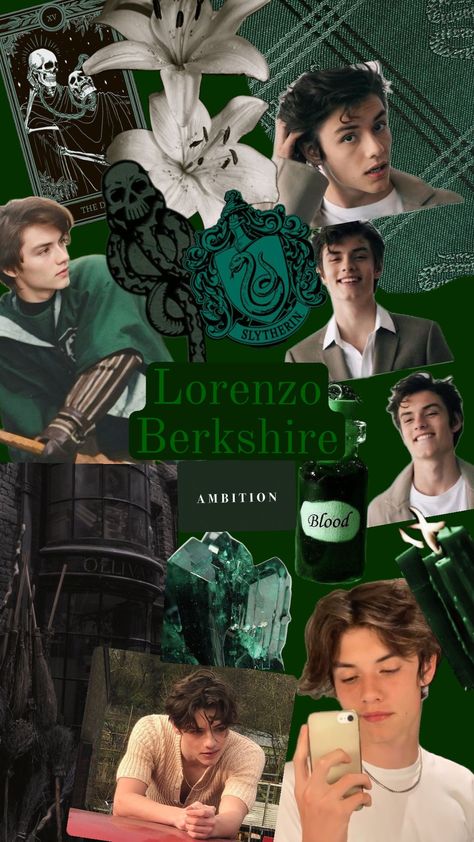 Lorenzo Berkshire 🐍🍏 Lorenzo Berkshire, Slytherin Wallpaper, Slytherin Harry Potter, Regulus Black, Harry Potter Wallpaper, Sirius Black, Harry Potter Universal, Hottest Guy Ever, Dylan O