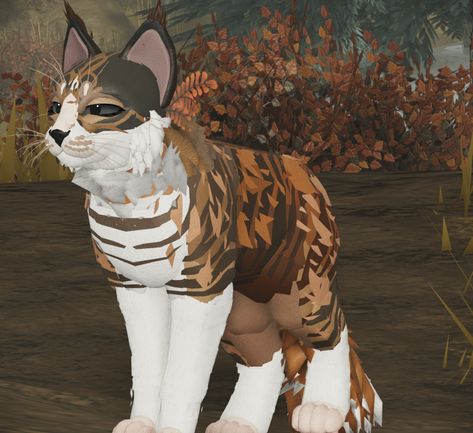 Wcue Roblox Oc Ideas, Warrior Cats Ultimate Edition Morph Ideas, Wcue Morphs Ideas Free, Wcue Morphs Idea, Warrior Cats Animation, Wcue Morph Ideas Longhair, Warrior Cat Morphs, Warrior Cat Morph Ideas, Warrior Cats Base