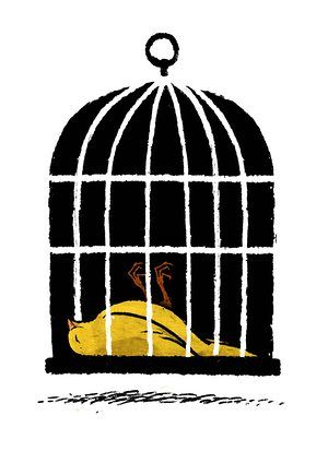 Illustration by David Foldvari of a dead canary in a birdcage. Canary Drawing, Canary Illustration, Birds In A Cage Drawing, Bird Cage Illustration, Bird Cage Art Illustration, Bird Migration Illustration, Stewart Lee, Bird Cage Illustration Freedom, Tv Guide