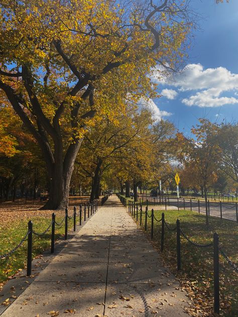 Fall In Dc, Dc In The Fall, Fall In Washington, Dc Living, Dc Aesthetic, Diego Barrueco, Dc Trip, Dc Travel, Old City