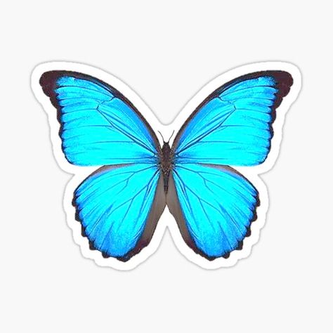 Mariposa Morpho azul y azul azulado vibrante. / www.ariamarliart.com • Millones de diseños originales hechos por artistas independientes. Morpho Azul, Art Papillon, Buttercup Flower, Blue Morpho Butterfly, Butterfly Blue, Butterfly Printable, Morpho Butterfly, Stickers Redbubble, Blue Morpho