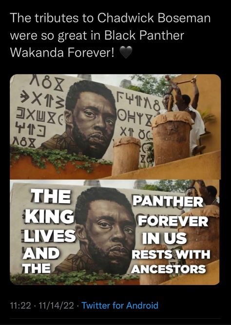 Bucky In Wakanda, Black Panther Women, Marvel Comics Funny, Marvel Superhero Posters, Wakanda Forever, Chadwick Boseman, Marvel Vs Dc, Black Panther Marvel, Marvel Jokes