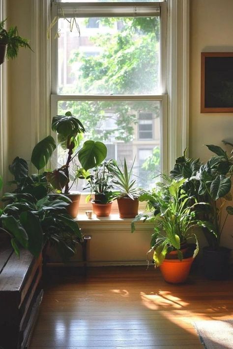 Enhance the natural light in your home with indoor plants. Create a vibrant, healthy environment with greenery that thrives in sunlight. 🌿🏡 #IndoorPlants #NaturalLight #HomeDecor Styling Bay Window, Bay Window Plant Ideas, Bay Window With Plants, Bay Window Plants, Indoor Plants Styling, Window Plants, Plants Ideas, Healthy Environment, Bay Window