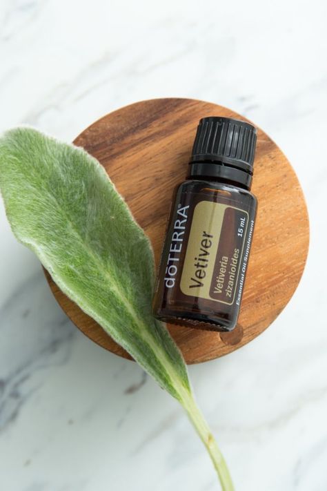 Vetiver Plant, Porch Hammock, Product Instagram, Vetiver Oil, Vetiver Essential Oil, Water Station, Diffuser Blend, Healing Hands, Afternoon Nap