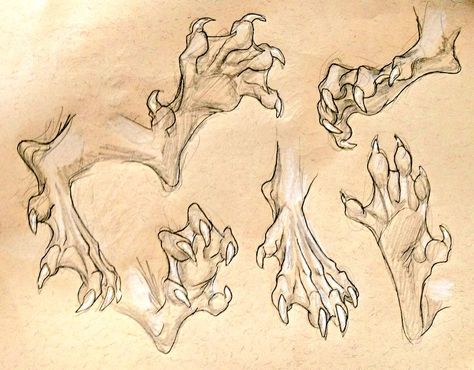 creature feet Dragon Feet Drawing Reference, Monster Feet Drawing, Creature Drawing Reference, Dragon Feet Drawing, Animal Feet Drawing, Dragon Feet Reference, Creature Poses Reference, Creature Anatomy, Dragon Claws Drawing Reference