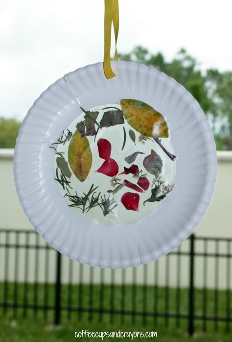 Paper Plate Suncatcher, Spring Nature Crafts For Kids, Nature Suncatcher Craft, Nature Walk Craft, Nature Crafts For Toddlers, Nature Wreaths For Kids, Leaf Suncatcher For Kids Wax Paper, Nature Suncatcher, Nature Sun Catcher