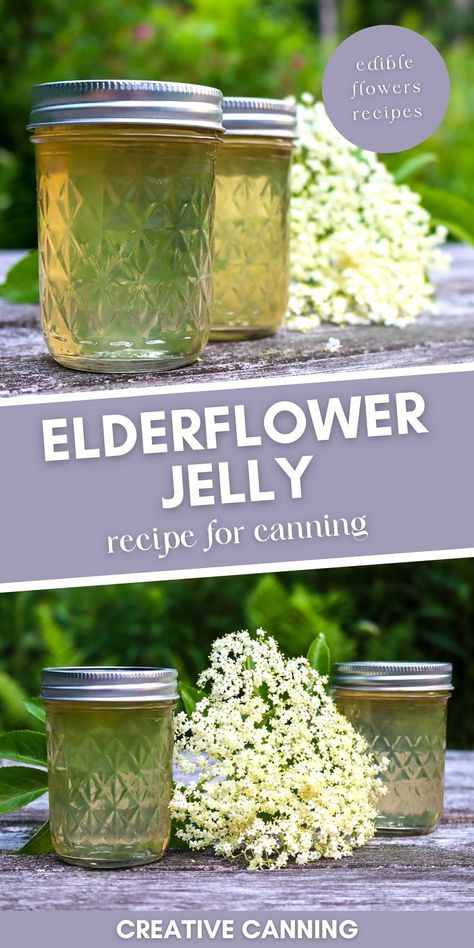 Elderflower Jelly: Creative Canning Recipes - If you're looking for elderflower recipes during summer, you must try this delicious elderflower jelly recipe. It's one of the best homemade jelly recipes for canning! Home canning flower jelly is incredibly easy and a great way to preserve flowers. Jelly Recipes For Canning, Apple Blossom Recipe, Recipes For Canning, Elderflower Recipes, Water Bath Canning Recipes, Preserve Flowers, Flower Jelly, Edible Flowers Recipes, Home Canning Recipes