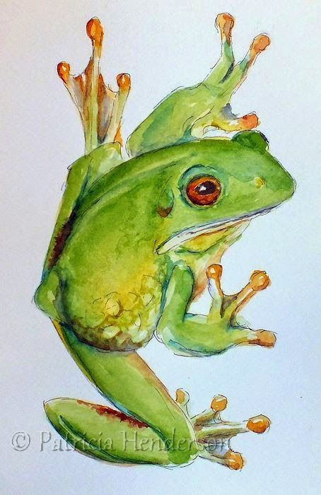 Frog Illustration, Frog Drawing, Watercolor Paintings For Beginners, Frog Art, A Frog, China Painting, Color Pencil Art, Watercolor Inspiration, Watercolor Animals