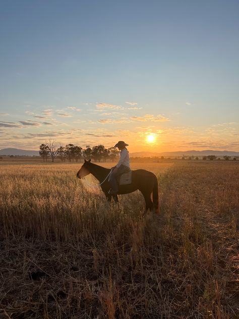 Wilderness First Responder, Ranch Hand, Alberta Canada, Black Friday, Sun, Instagram Photos