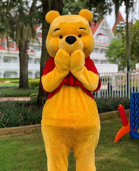 Walt Disney World Pooh Characters, Tiger Birthday Party, Cosplay Disney, Disney Best Friends, Tiger Birthday, Disney Cosplay, Disney Park, Disney Theme Parks, Disney Theme