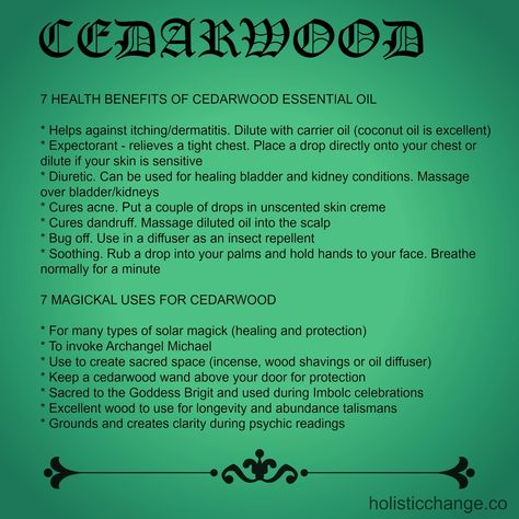 cedarwood health benefits and magickal uses Essential Oil Magical Properties, Oil Magical Properties, Cedarwood Essential Oil Uses, Essential Oil Spray Recipes, Magick Oil, Types Of Magic, Essential Oils Guide, Kitchen Witchery, Essential Oil Plants