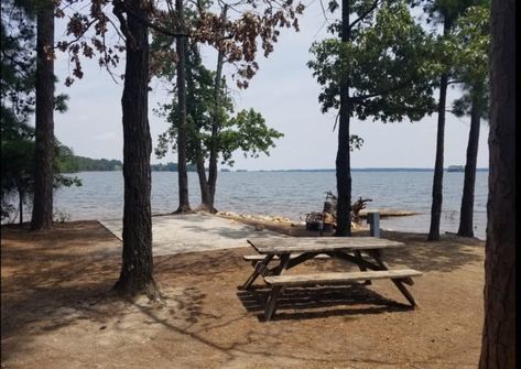 Wake up to the sounds of nature and incredible views of Lake Murray. Can you imagine yourself here? Sounds Of Nature, Lakeside Living, Stay Overnight, Weekend Trip, Open Water, Weekend Trips, Go Outside, Weekend Getaways, Local Businesses