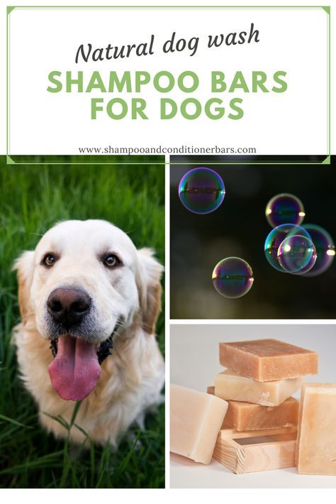 Homemade Dog Soap Bars, Diy Pet Shampoo, Dog Shampoo Bar Recipe, Dog Soap Diy, Diy Dog Products, Dog Soap Bar Recipe, Dog Shampoo Homemade, Dog Shampoo Recipe, Organic Dog Shampoo