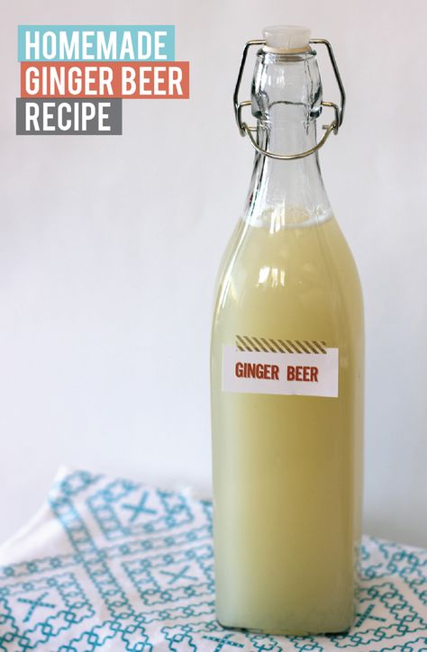 Drinkable Potions, Ginger Beer Mule, Homemade Ginger Beer, Fermenting Foods, Ginger Beer Recipe, Pickle Vodka, Ginger Bug, Soda Syrup, Beer Recipe