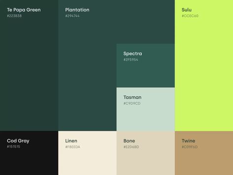 Green Branding, Pantone Colour Palettes, Color Design Inspiration, Green Palette, Brand Color Palette, Green Colour Palette, Color Palette Design, Color Inspo, Paint Palette