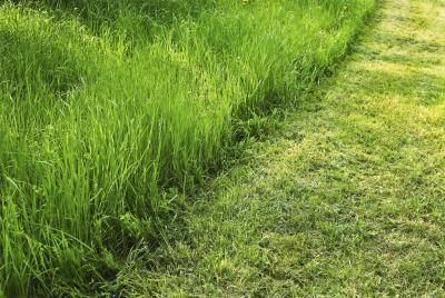 xeipe/iStock/Getty Images Lawn Irrigation, Smell Of Rain, Landscape Lighting Design, Irrigation Systems, Fresh Cut Grass, Lavender Aromatherapy, Outdoor Landscape Lighting, Outdoor Landscape, Sprinklers