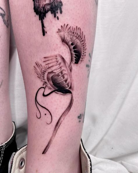 Venus Fly Trap from my flash for Jamieson earlier this week, many many thank you! 🪰 ✷ Done at Seven Saints Tattoo. DM to book with me… | Instagram Venus Fly Trap Tattoo Black And White, Ghost Orchid Tattoo, Flytrap Tattoo, Venus Fly Trap Drawing, Venus Fly Trap Art, Venus Flytrap Tattoo, Fly Trap Tattoo, Venus Fly Trap Tattoo, Saints Tattoo