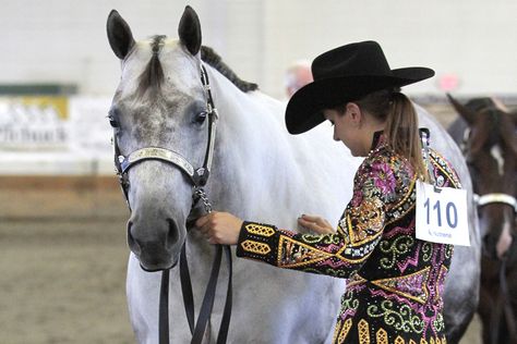 How to Fit a Show Halter Feeding Program, Show Horse, Showing Livestock, Horse Trainer, American Quarter Horse, Professional Advice, Grooming Routine, Workout Regimen, Horse Stuff