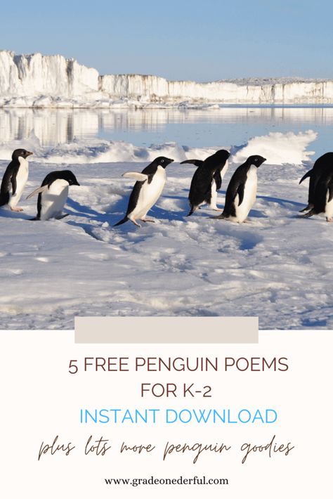 Penguin Puppet, Penguin Poem, Penguin Videos, Penguin Awareness Day, Penguin Facts, Macaroni Penguin, Related Quotes, Penguin Day, Puppet Craft