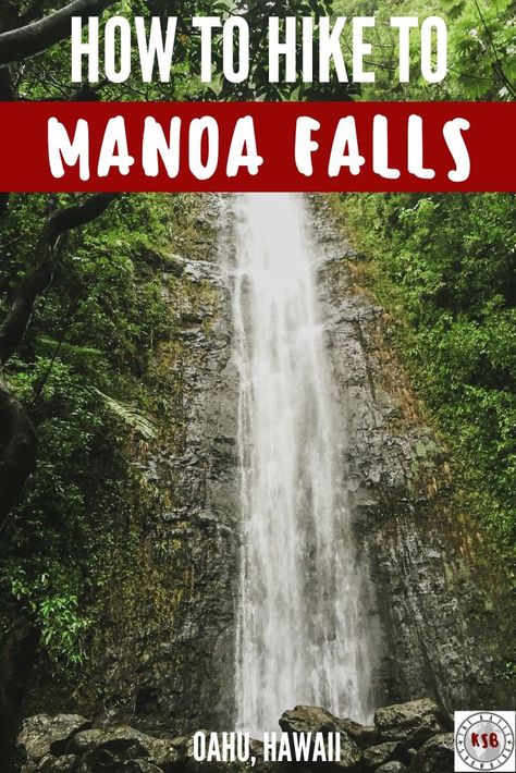 The Manoa Falls hike is one of the most convenient waterfalls on Oahu and the easy trail is suitable for everyone. Here's a guide to help plan your visit. Manoa Falls Oahu, Oahu Waterfalls, Manoa Falls, Jungle Waterfall, Hawaii Trip Planning, Plants Unique, Ala Moana Beach, Rainforest Birds, Oahu Hikes