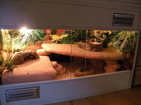 Leopard Gecko Desert Rock Build (round 2) - Page 11 - Reptile Forums Gecko Enclosure Ideas, Leopard Gecko Enclosure, Gecko Cage, Gecko Enclosure, Lizard Cage, Leopard Gecko Habitat, Leopard Gecko Tank, Leopard Gecko Care, Bearded Dragon Diy