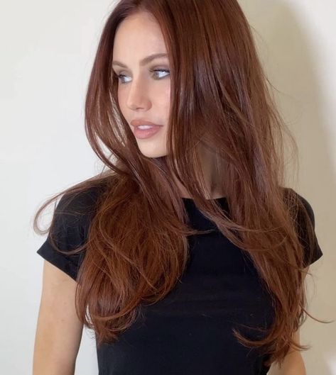 Orange Brown Hair, Dark Ginger Hair, Copper Brown Hair, Auburn Hair Color, Dark Auburn Hair, Rambut Brunette, Red Hair Inspo, Ginger Hair Color, Red Brown Hair