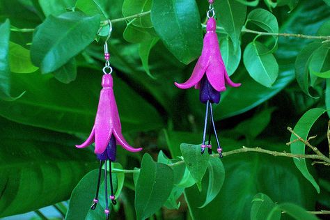 Fuchsia Earrings Art Clay, Plants Flowers, Weird And Wonderful, Clay Jewelry, Polymer Clay Earrings, Clay Earrings, Planting Flowers, Nature Inspiration, Polymer Clay