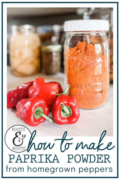 From Seed To Plant, Seed To Plant, Canning Peppers, Dehydrating Food Storage, Paprika Pepper, Dehydrated Vegetables, Homemade Pantry, Spice Mix Recipes, Dried Peppers