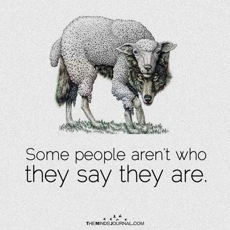 5 Ways To Spot A Wolf In Sheep's Clothing Sheep In Wolves Clothing, Wolf Clothing, Epic Texts, Sheep Clothing, Wolf Quotes, Learn Hebrew, Mindfulness Journal, A Snake, Be Kind To Yourself