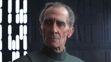 The Cassian Andor show coming to Disney+ takes place between the events of Revenge of the Sith and Rogue One, and a new rumor claims Grand Moff Tarkin will have a role to play in the spinoff series! Grand Moff Tarkin, Star Wars History, Peter Cushing, Star Wars Empire, Rogue One, Jedi Master, Ewan Mcgregor, Galactic Empire, The Empire Strikes Back