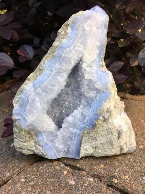 Crystal Seashells, Chalcedony Crystal, Crystal Vibes, Crystal Aesthetic, Pretty Rocks, Cool Rocks, Minerals And Gemstones, Rocks And Gems, Crystal Decor