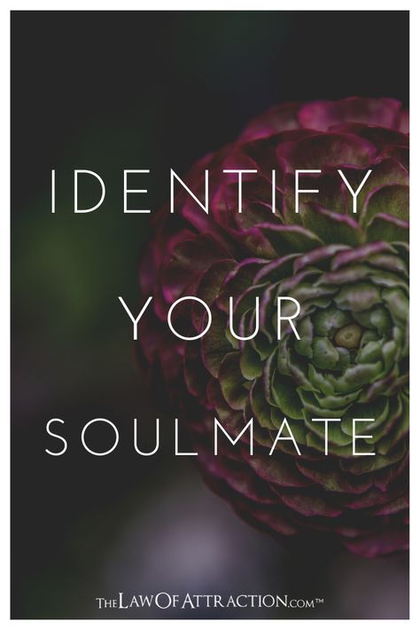 How To Meet Your Soulmate, Womens Intuition, Find Soulmate, Who Is My Soulmate, Respect Relationship, Soulmate Signs, Dream Relationship, Soulmate Connection, Find Your Soulmate