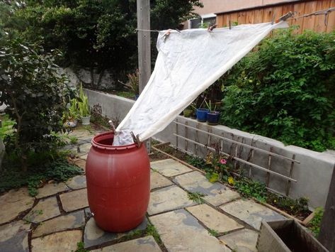 Diy Jardin, Water Barrel, Backyard Greenhouse, Rainwater Harvesting, Water Collection, Rain Barrel, Rain Water Collection, Community Gardening, Diy Life Hacks